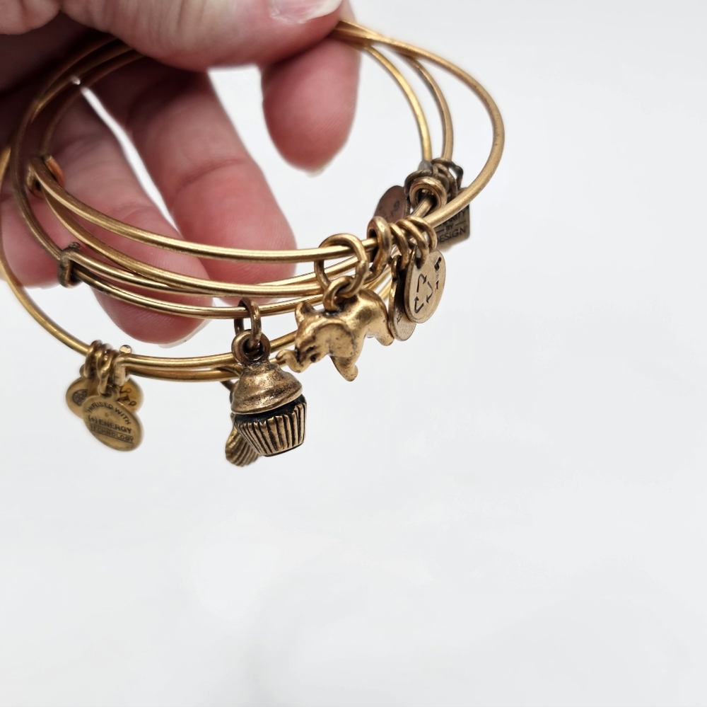 Alex And Ani Charm Bangle Bracelet, Set Of 3 - Picture 5 of 8